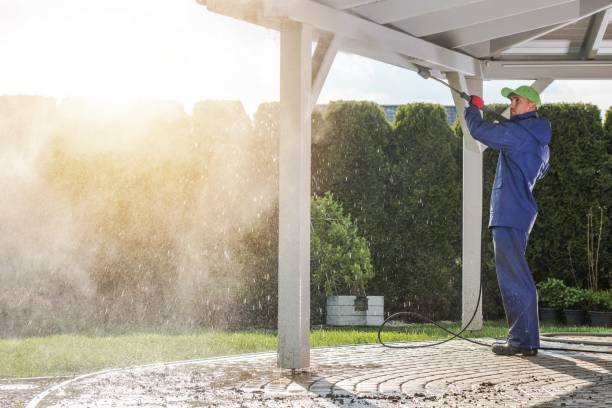 Best Spring Cleaning  in Zeigler, IL