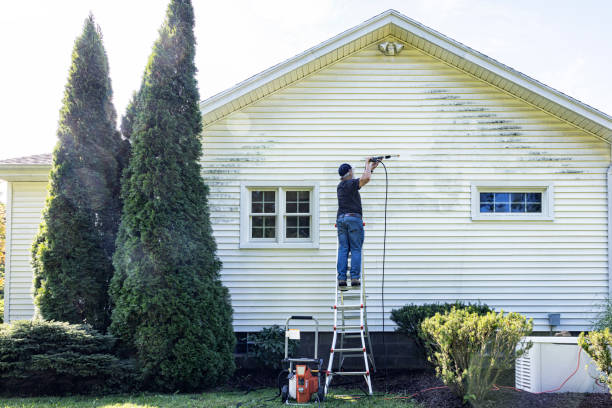 Best Sidewalk and Walkway Cleaning  in Zeigler, IL